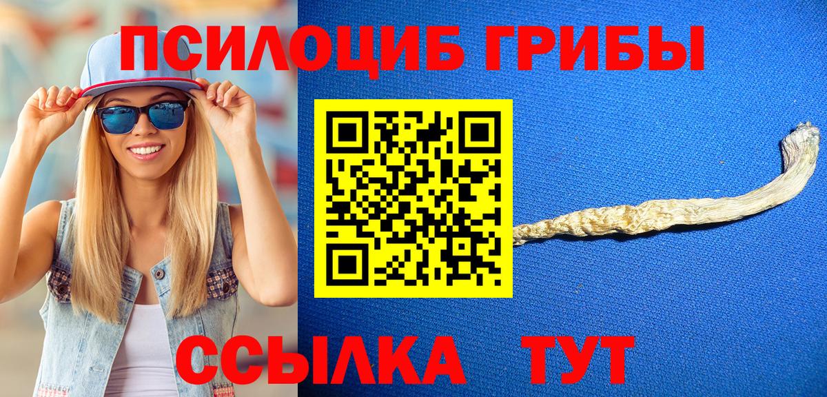 Когалым  Галлюциногенные грибы MAGIC MUSHROOMS  Вход с VPN 