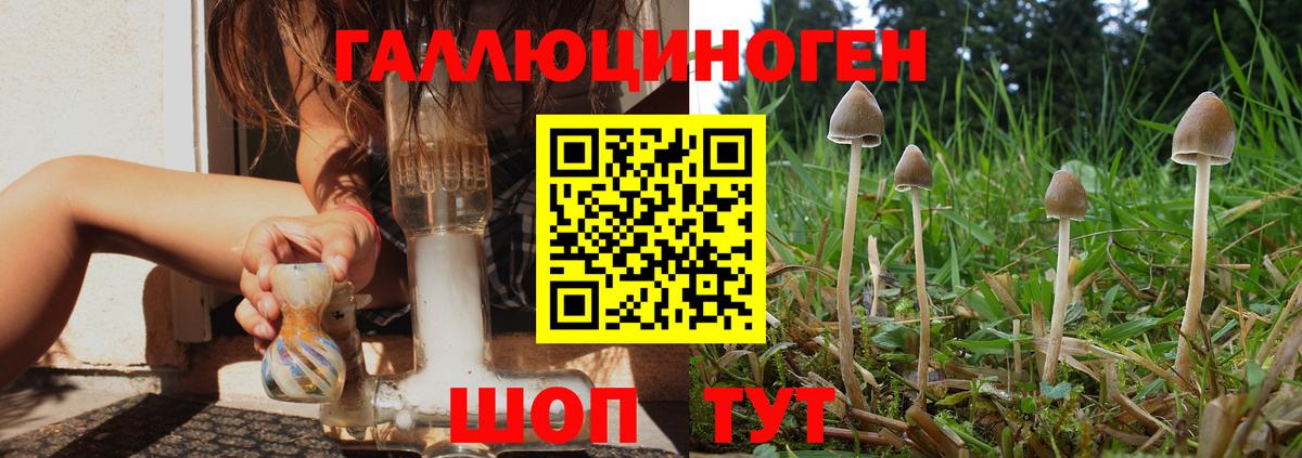 Галлюциногенные грибы прущие грибы Когалым