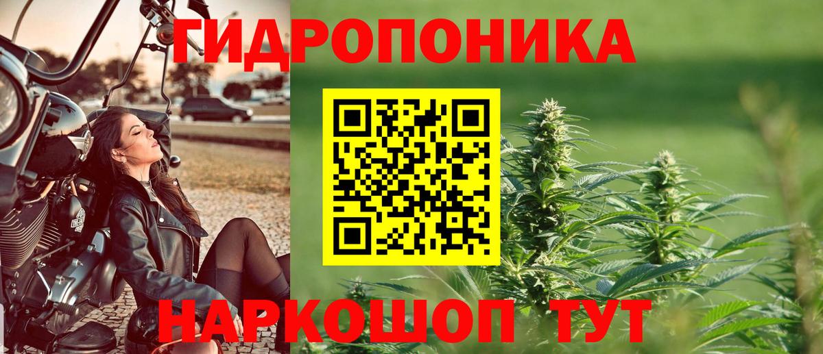 Бошки марихуана гибрид  Вход с VPN  МАРИХУАНА семена  Конопля SATIVA & INDICA  Когалым 